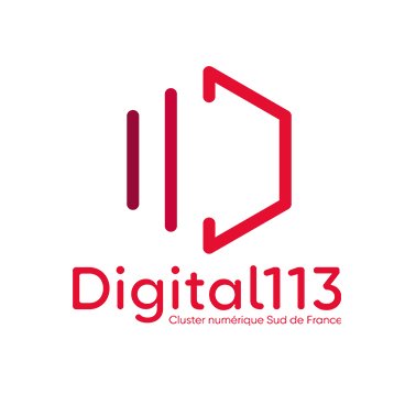 Logo adherent DIGITAL 113