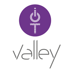 Logo adherent IOT VALLEY