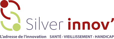 Logo adherent SILVER INNOV'